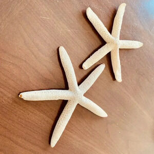 Two Piece Starfish Set Home Decor